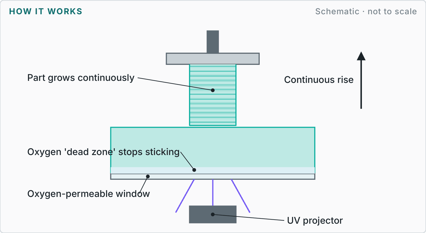 Labelled diagram showing how carbon dls works